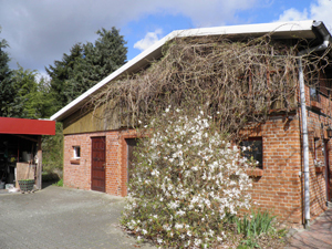 Wohnhaus mit Büro in Neuhof bei Parchim